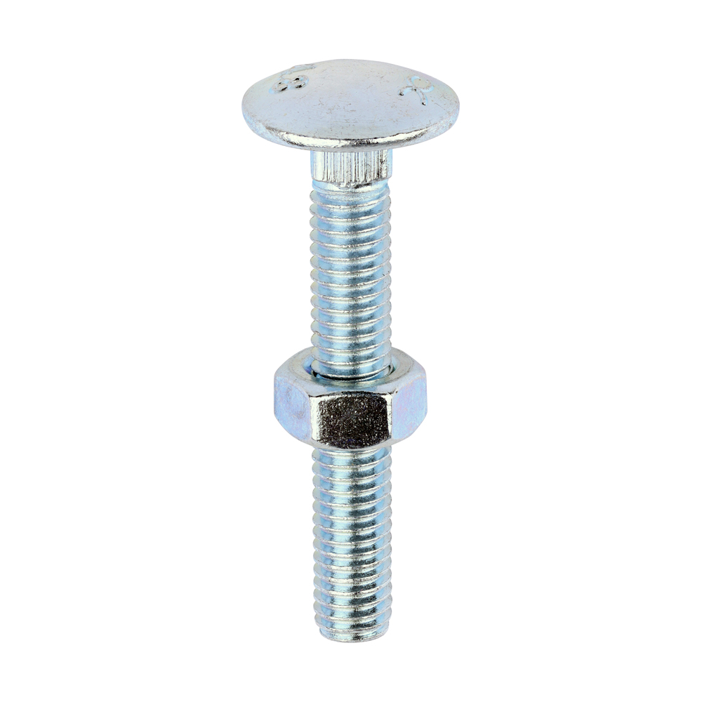 M6 X 40 CARRIAGE BOLTS & NUTS ZP